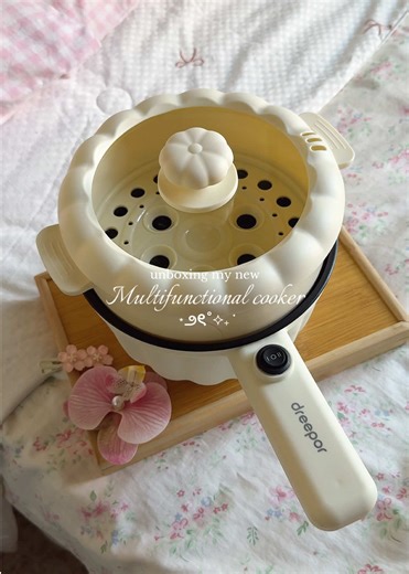 Multifunctional Electric Cooker Review and Features