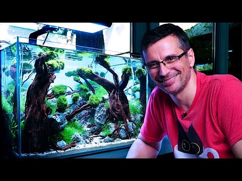 The MOST DIFFICULT Aquascaping Style - Making An Indonesian-style Planted Tank | PT. 2