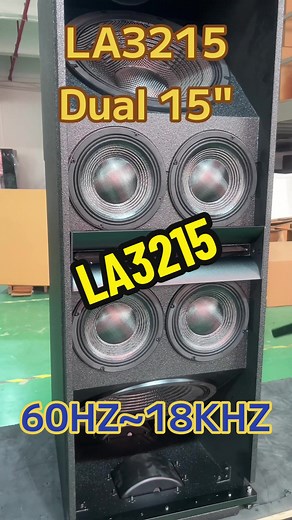 Enhance Live Sound with Dual 15