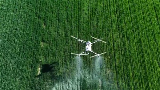 BeiDou-guided drones protect over 230,000 acres of wheat in China