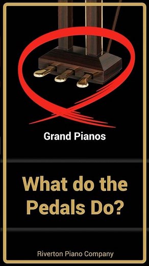 What do the 3 Pedals Do? | #GrandPianos #piano #pedals