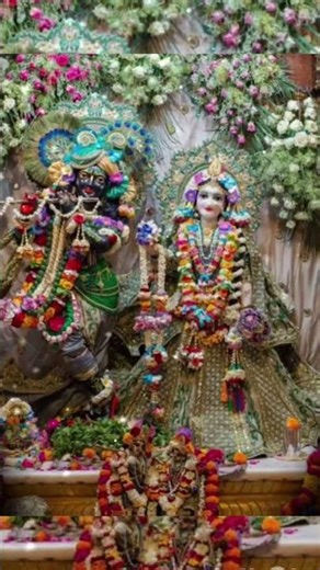 #phoolon Mein saj rha ha