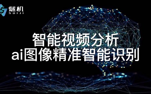 智能视频分析ai图像精准智能识别