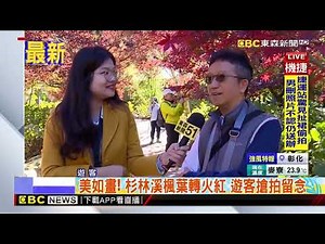 最新》美如畫！ 杉林溪楓葉轉火紅 遊客搶拍留念@newsebc