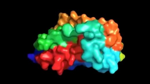 生物动画之蛋白质折叠