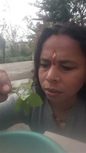 Dil Vil Pyar Vyar Main Kya Janu😀😀😀😀😀