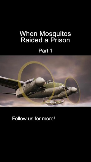 Invasion of Mosquitoes: Inside a WWII Prison | Part 1