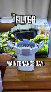 197K views · 1.5K reactions | How often do you clean your filters?  We noticed the flow on our UNS 60U slowing down and decided it was time for a cleaning! After turning off the filter & closing the valves, we cracked it open, scrubbed everything down, rinsed out the sponges, & admired our CLEAN TANK 朗 #aquariumkeeping #plantedtank #aquariummaintenance #tankmaintenance | Buce Plant | Facebook