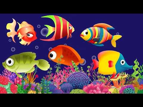 4k Baby Lullaby🐟Soothing fishes🐟Calming Undersea Animation🐟Aquarium #lullaby #sleepmusic #126