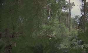 The Devil Hunter 1980 (Hungarian subtitle)