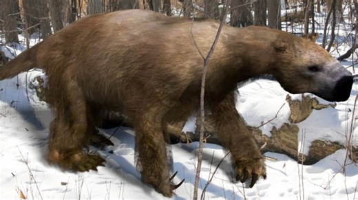 Mega-sloths 'lived alongside humans for 10,000yrs…& their bones used as jewels'