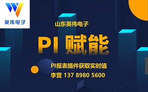 PI数据库报表插件 实时值取数