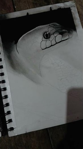 hyper realistic snakes drawing 🐍🐍🐍😀😀 ... #viral #art #ytshorts #drawing #snakedrawing #mostviewed