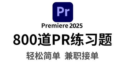 【PR教程】PR初学者入门必备800个实操案例！每日一练，轻松接单！