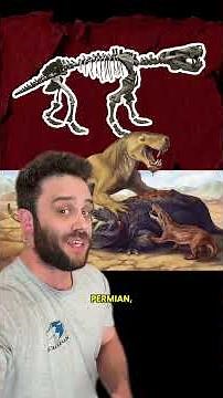 Apex Predators Before the Dinosaurs #learning #animals #evolution #history #biology #science #edu