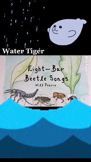 Predaceous Diving Beetle Larvae are pretty cool 🐞 #beetle #watertiger #naturesong #acapella