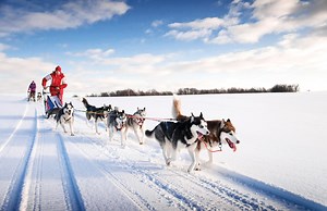 TUI launches bucket list Santa holidays for rock bottom prices