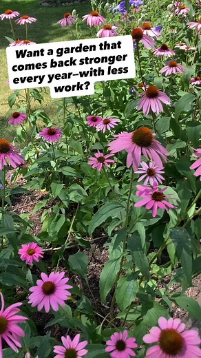 Want a garden that comes back stronger every year—with less work?...