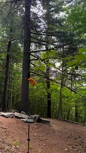 I call it “The dancing of the Fairy 🧚‍♀️ Leaf “ I enjoy when nature offers up theatrical performances and I’m lucky enough to capture them. It was especially nice to have been able to share the experience with some friends that watch my livestreams #forestbathing #leaffairy #fairies #asmr | Our Farmacy