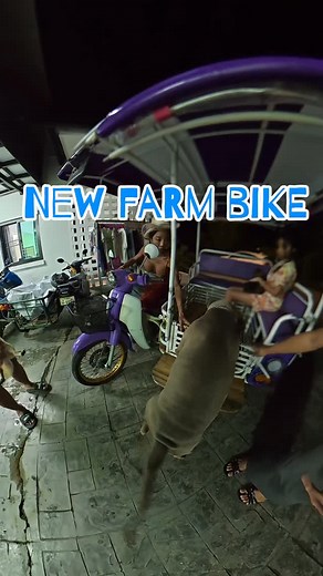 1.2K views · 117 reactions | Let try it… ️ #mosandfamily #mos #farmlife #ladyboymos #animals #farm #dog #love | Mos&family | Facebook