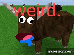 weird cow on Make a GIF