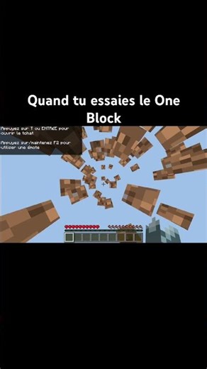 Minecraft Quand tu essaies le One Block