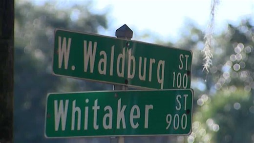 Police: 'Person of interest' in Forsyth Park acid attack not considered suspect following interview