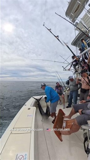 Marlin Tuna Dorado Sports Fishing Cabo San Lucas Fishing