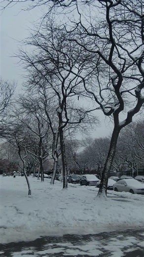 Winter say in NYC