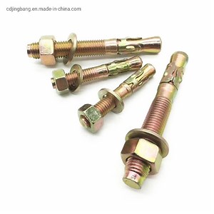 [Hot Item] Concrete Screw Sleeve Type Elevator Conical Cap Wedge Anchor Bolts