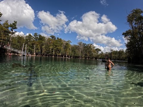Swimming with Fish and Scuba Divers in Morrison Spring