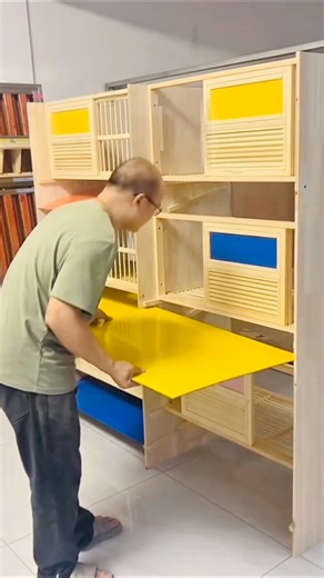 Making new Racing Pigeon Breeding cage #reelsvideoシ #fblifestyle #racingpigeons | Amazing Loft