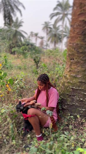 Talent Tv (@talent.tv8)’s videos with original sound - Talent Tv