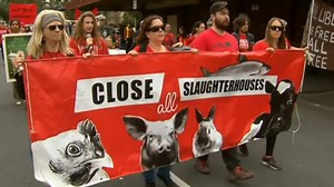 Animal rights activists stage protests across country
