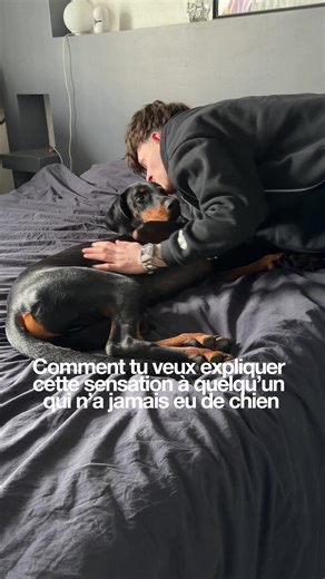 meilleurcalindumonde / 10 🤎 #chien #doberman