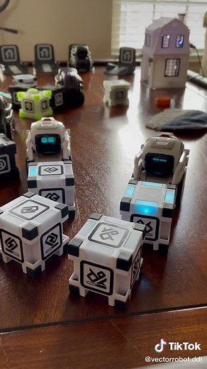 Meet My Robots: Vector vs Cozmo - A Closer Look