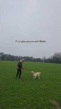 First play session with human reactive Mable!