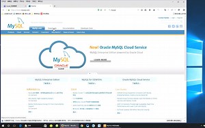 MySQL第四讲[数据类型]