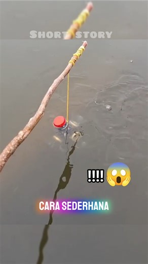 fishing rod replacement #shortvideo #fishing #fish #fypシ