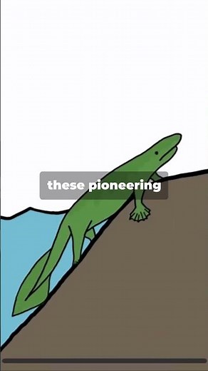 Tiktaalik : The Fish We Evolve From!