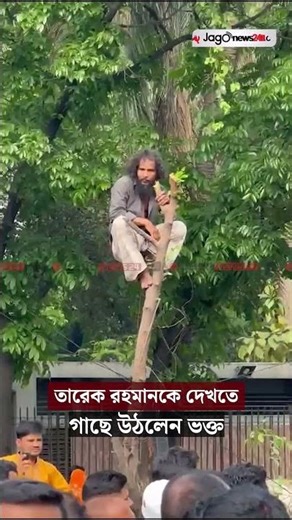 তারেক রহমানকে দেখতে গাছে উঠলেন ভক্ত | Tarique Rahman| BNP | Jago News