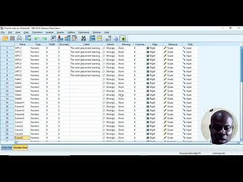 Cronbach's Alpha Reliability of Likert Scale Dataset in SPSS