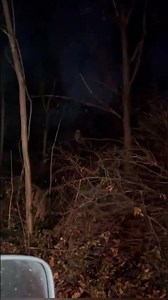 Goochie goo!!! owl #bollywood