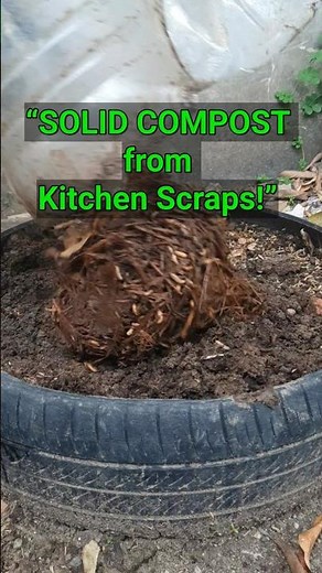 “How to Use Solid Compost from Kitchen Scraps to Improve Soil Fertility”