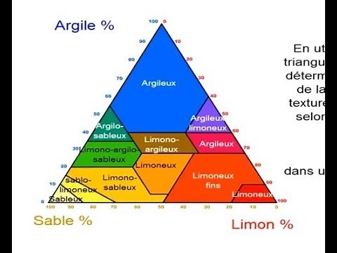 Les caractéristiques physiques du sol : la texture du sol