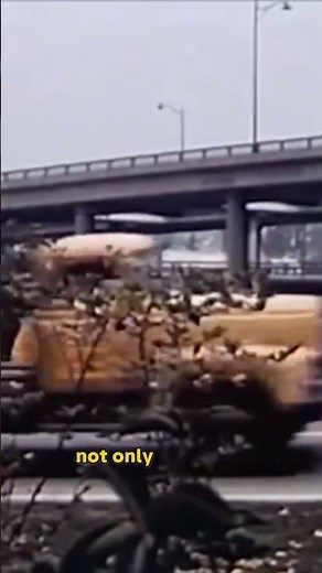The Hammer of Progress: 1950s Urban Demolition