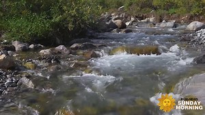 14K views · 519 reactions | At Gates of the Arctic National Park & Preserve, in a wild and remote stretch of Alaska, locals survive with subsistence hunting of the largest caribou herd in the U.S. https://cbsn.ws/3tH7b42 | CBS Sunday Morning | Facebook