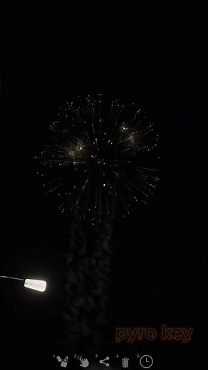 5 inch Blinker bombe platin 5 shots #fireworks #pyrotechnica #satisfying #pyro