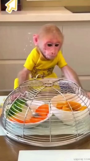 Adorable Toddler Moments in Modern Home Settings