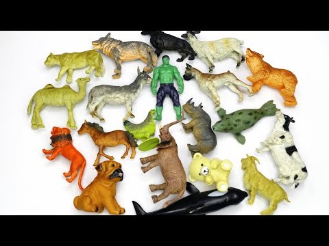 Amazing toys 🧸 Animal 🦁Collection|toys 🤷animal unboxing animal collection animal toy collection mix